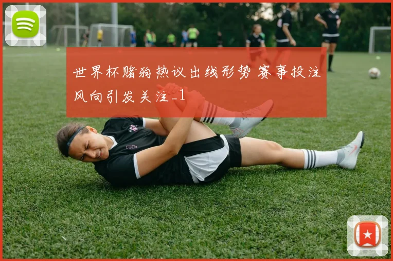 世界杯赌狗热议出线形势 赛事投注风向引发关注_1